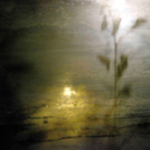 Schatten