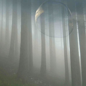 Seifenblasen