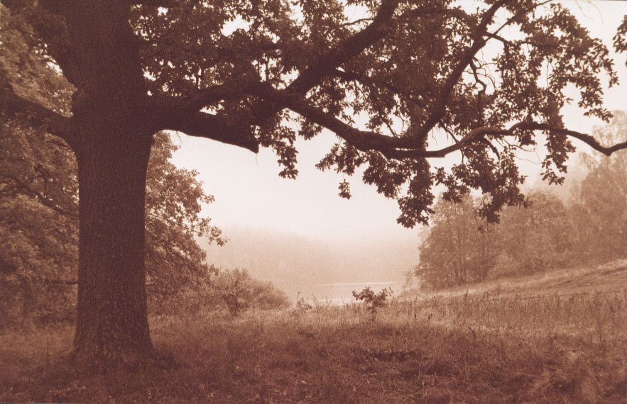 Valaam