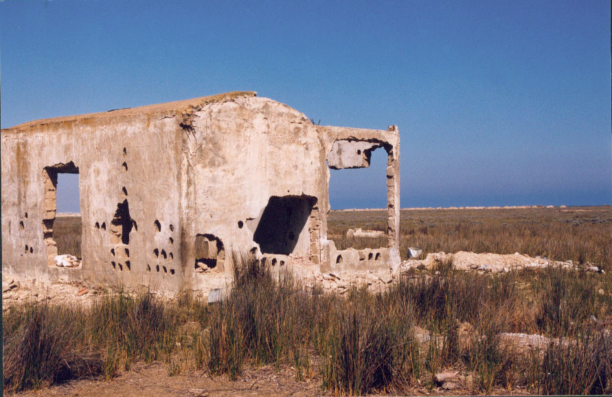 Arch