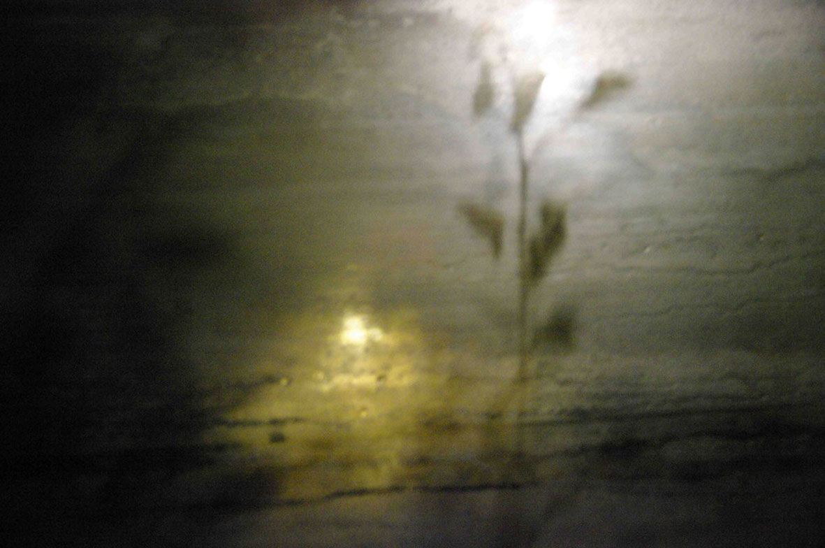 Schatten