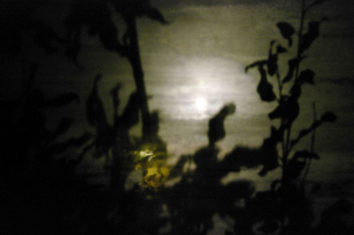 Schatten